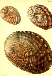 n287_w1150