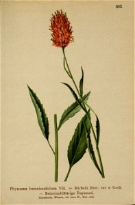 n104_w1150
