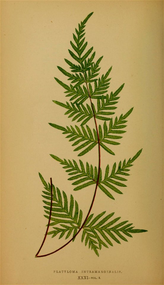n163_w1150