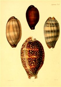 n169_w1150