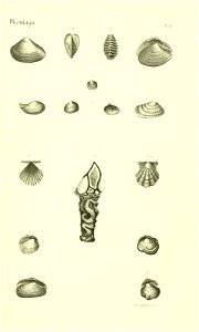 n422_w1150