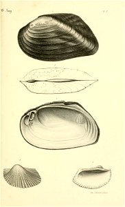 n102_w1150