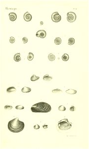 n420_w1150