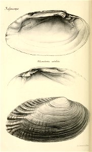 n197_w1150