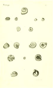 n418_w1150