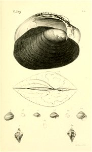 n98_w1150