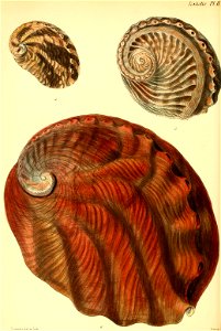 n283_w1150