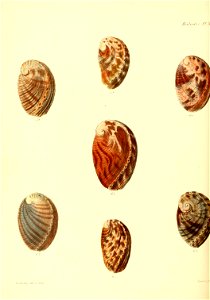 n339_w1150