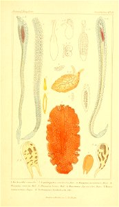 n316_w1150