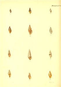 n375_w1150