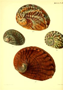 n311_w1150