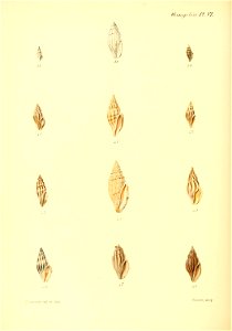 n371_w1150