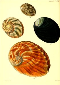 n307_w1150