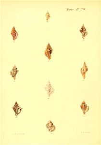 n111_w1150