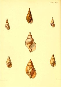 n501_w1150