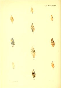 n367_w1150