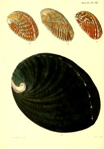 n303_w1150