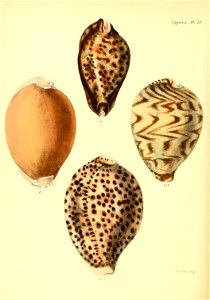 n177_w1150