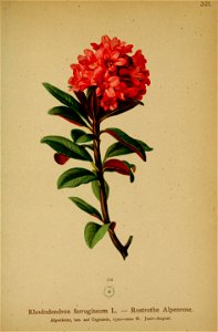 n142_w1150