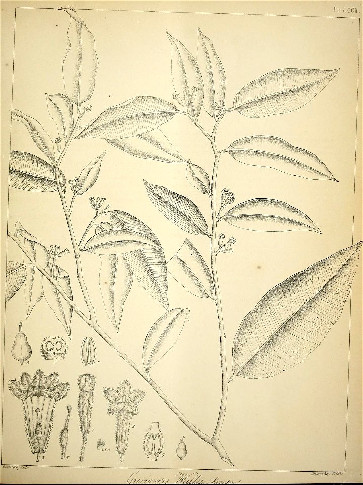 n404_w1150