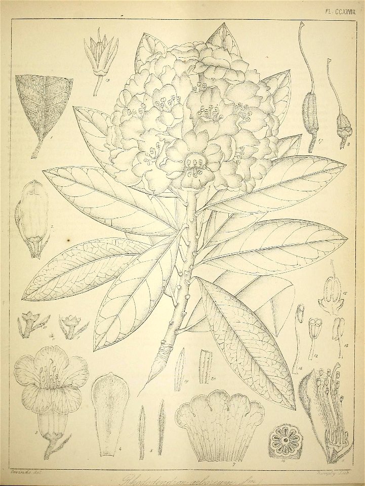 n102_w1150