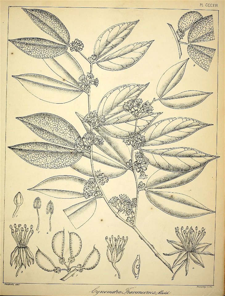 n456_w1150