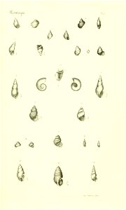 n416_w1150