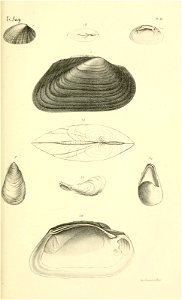 n96_w1150