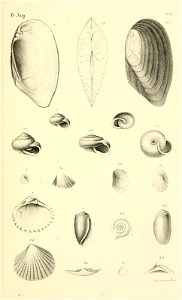 n94_w1150
