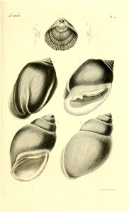 n134_w1150