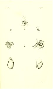 n398_w1150