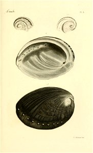 n132_w1150