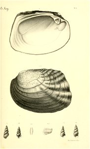 n78_w1150