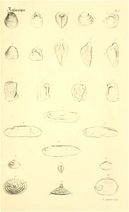 n228_w1150