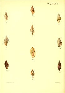 n363_w1150