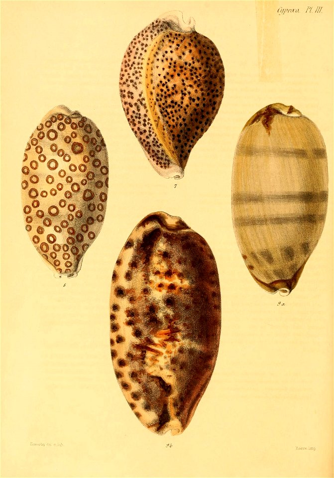 n173_w1150