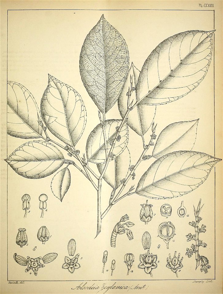 n106_w1150
