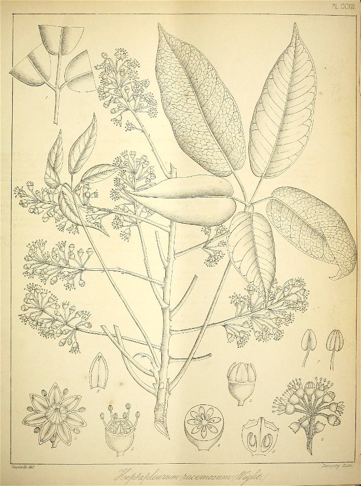 n46_w1150