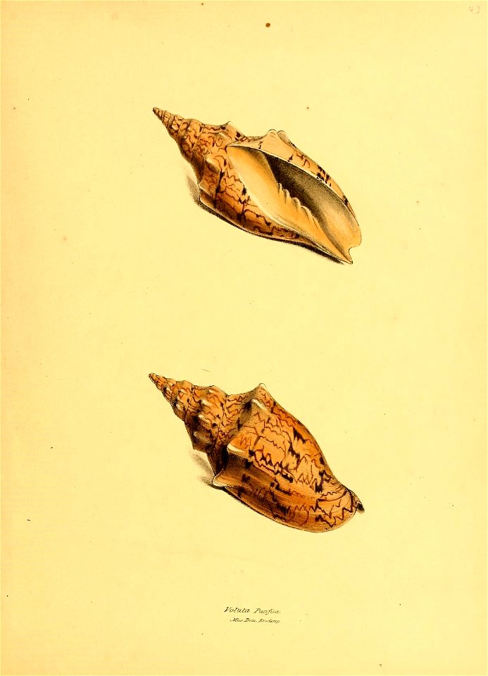 n204_w1150