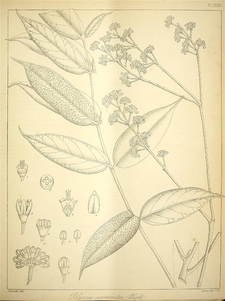 n42_w1150