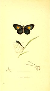 n265_w1150