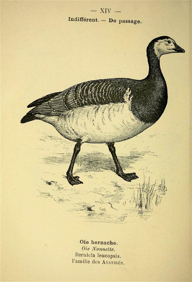 n173_w1150