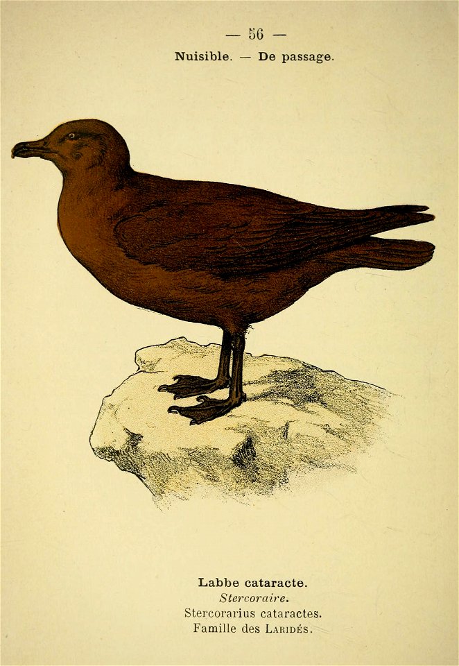 n121_w1150