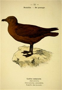 n121_w1150