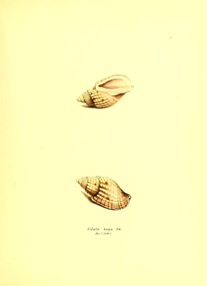 n196_w1150