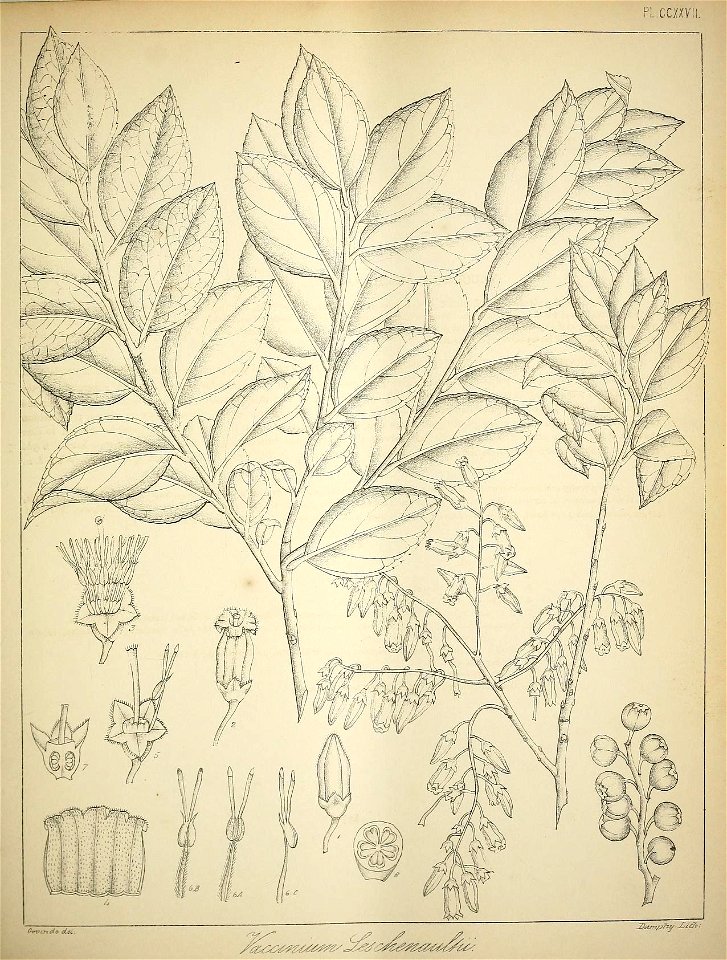 n98_w1150
