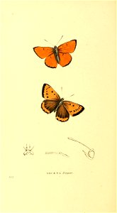 n253_w1150