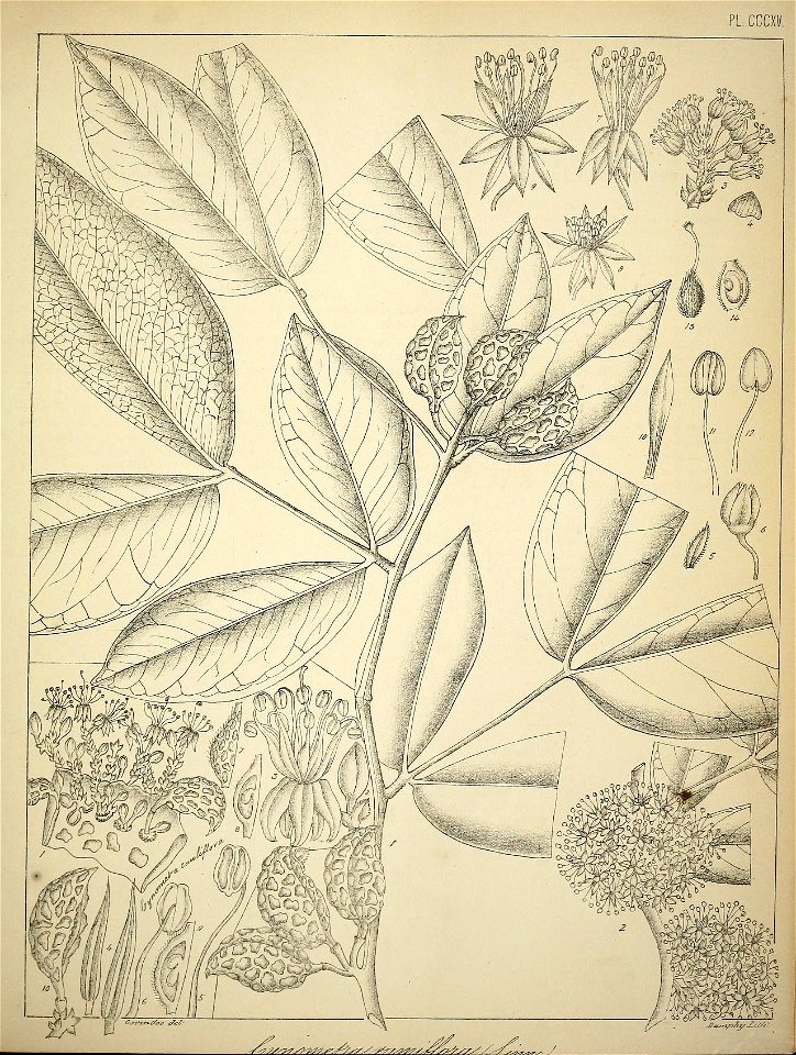 n452_w1150