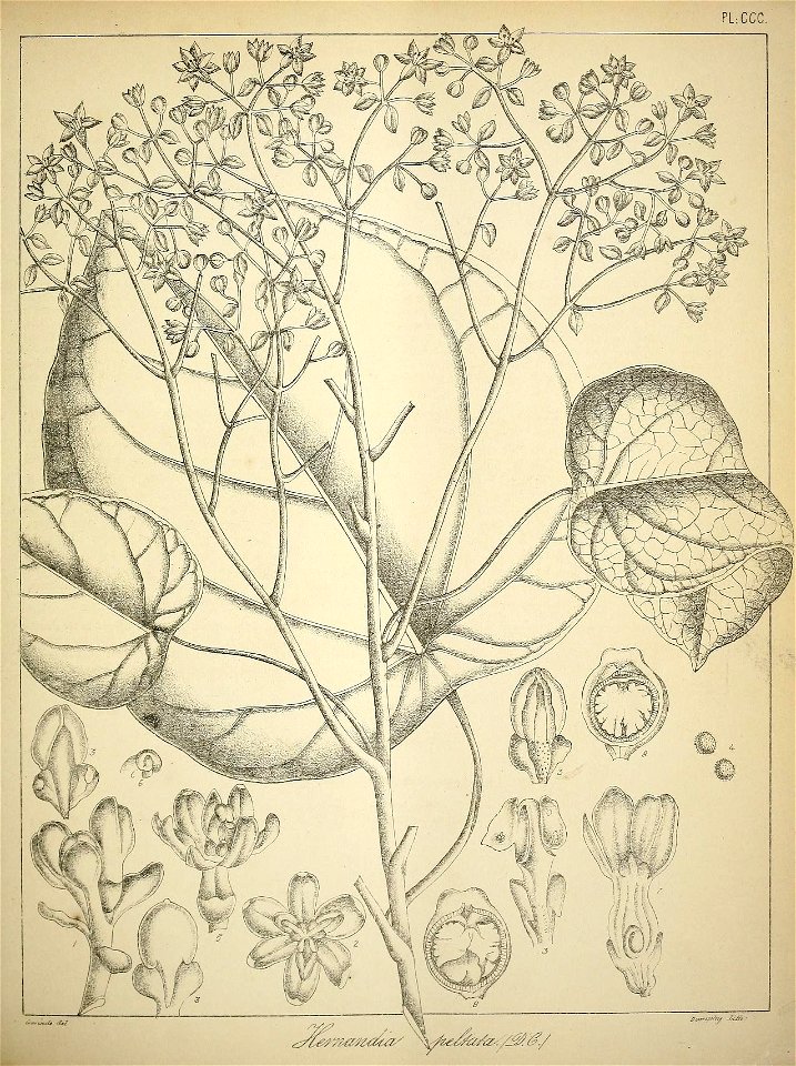 n392_w1150