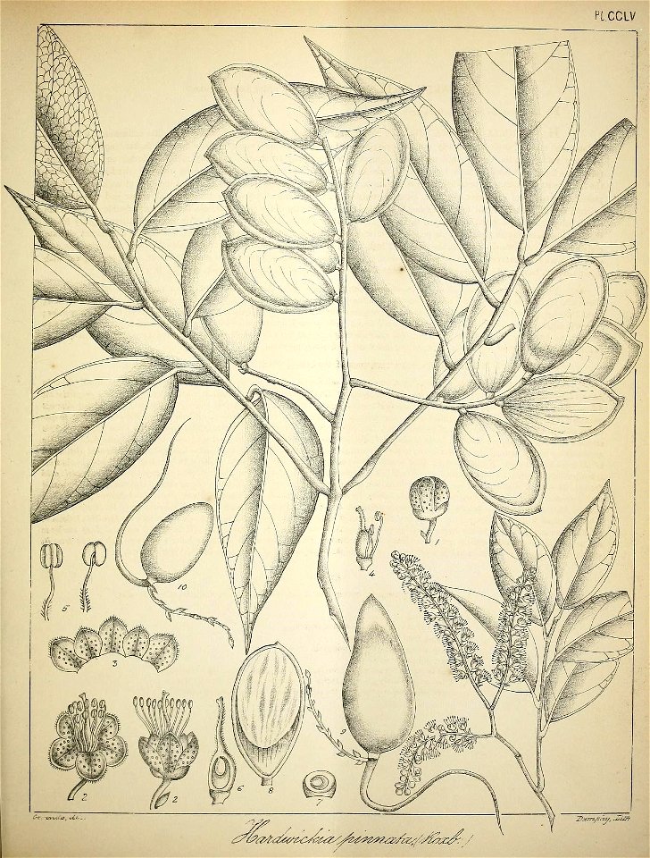 n212_w1150